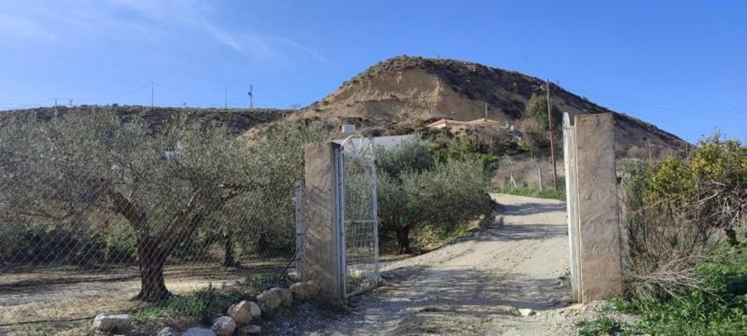 Casa con terreno en venta en Fines, Pueblo photo 0