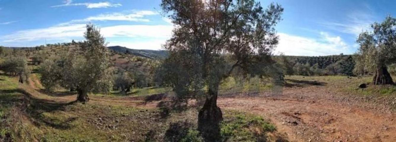 Terreno en venta en Montoro, Alto Guadalquivir photo 0