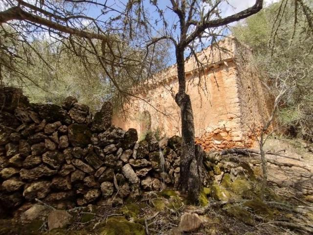 Chalet en venta en Algaida, Algaida campo photo 0