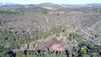 Terreno en venta en Badolatosa, Área de Estepa photo 0