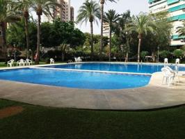 Piso en alquiler en Alicante, L'Alacantí photo 0