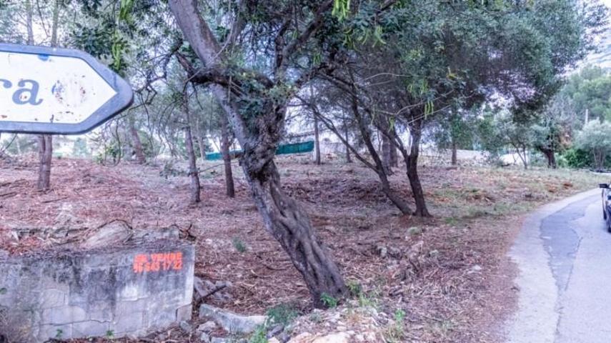 Terreno en venta en Denia, MON MITAD photo 0