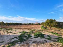Terreno en venta en Alzira, Urbanitzacions i Pedanies Sud photo 0
