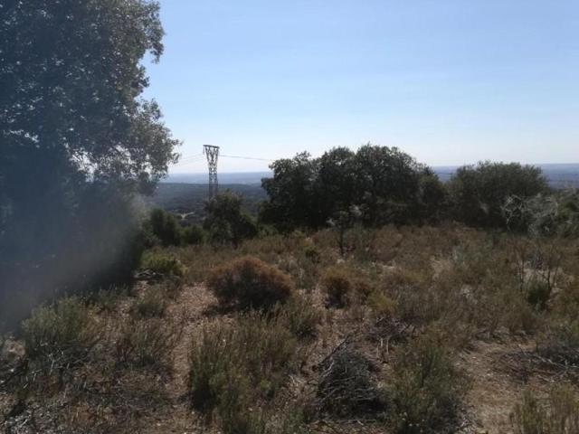 Terreno en venta en Navas del Rey, Fuente los lirios photo 0