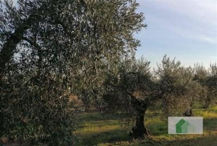 Terreno en venta en Montijo, LOS ARENALES photo 0