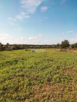 Terreno en venta en Llubí photo 0
