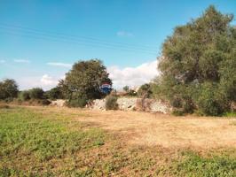 Terreno en venta en Llubí photo 0