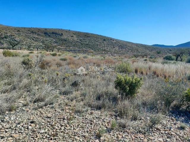 Terreno en venta en Hondon de los Frailes, LA SOLANA photo 0