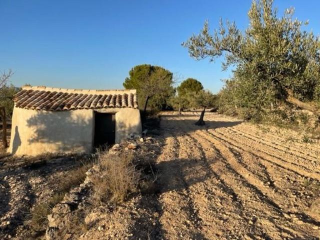 Terreno en venta en Biar, Alt Vinalopó photo 0