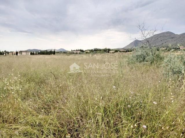 Terreno en venta en Hondon de las Nieves, La solana photo 0