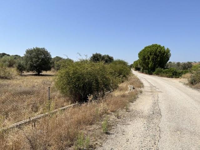 Terreno en venta en Navas del Rey, Campo photo 0