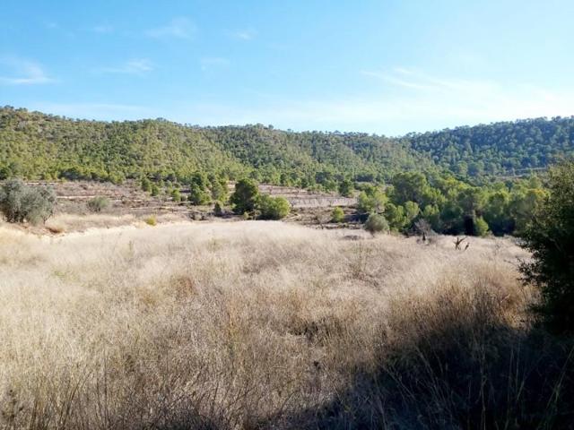 Terreno en venta en Monovar-Monover, LA ROMANETA photo 0
