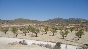 Terreno en venta en Abanilla photo 0