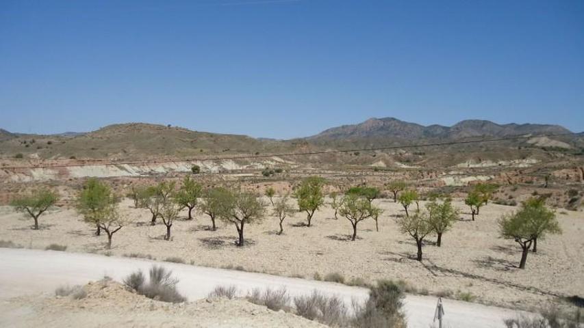 Terreno en venta en Abanilla photo 0