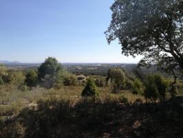 Terreno en venta en Navas del Rey, Fuente los lirios photo 0