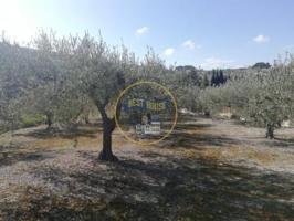 Terreno en venta en Ontinyent, Ontinyent photo 0
