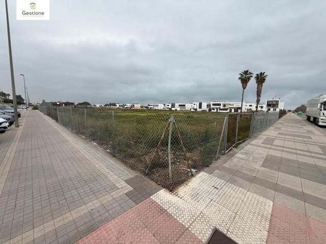 Terreno en venta en Burriana, Novenes de calatrava photo 0