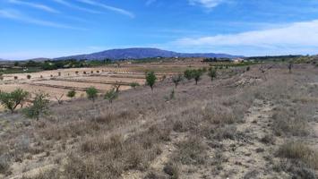 Terreno en venta en Pinoso, Pinoso photo 0