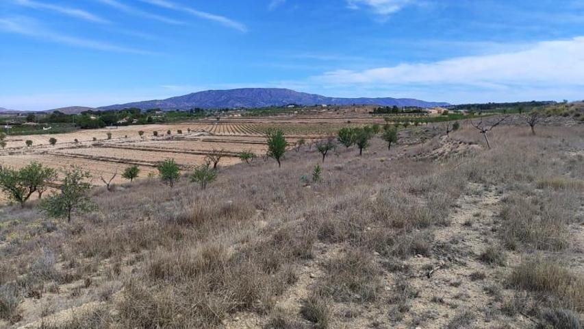 Terreno en venta en Pinoso, Pinoso photo 0