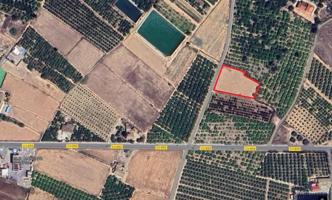 Terreno en venta en Guardamar del Segura photo 0