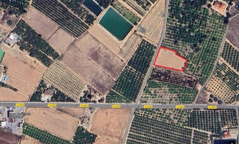 Terreno en venta en Guardamar del Segura photo 0