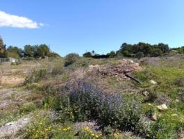 Terreno en venta en Hondon de las Nieves, Almistech photo 0