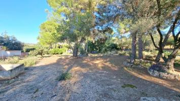 Terreno en venta en Alberic, Alberique photo 0