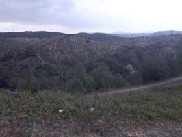 Terreno en venta en Montoro, Alto Guadalquivir photo 0