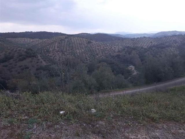 Terreno en venta en Montoro, Alto Guadalquivir photo 0