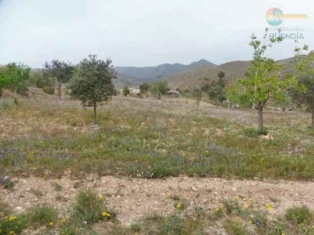 Terreno en venta en Mazarrón, Las Balsicas photo 0