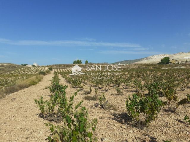 Terreno en venta en Algueña, ALGUEÑA photo 0