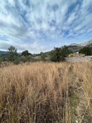 Terreno en venta en Tormos, Centrico photo 0