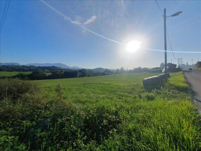 Terreno en venta en San Claudio, La Cruz, 33191 photo 0