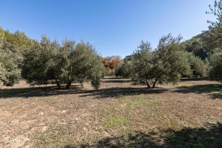 Terreno en venta en Albolote, Calicasas photo 0