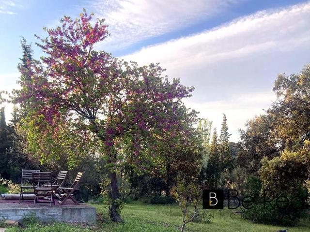 Terreno en venta en Valdemorillo, Calle Encina del Mirador, 28210 photo 0