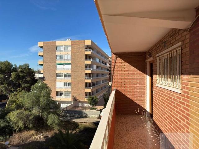 Bungalow en venta en Torrevieja, Punta Prima photo 0