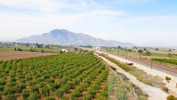 Chalet en venta en Callosa de Segura, Comunidad valenciana photo 0
