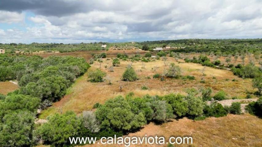 Terreno en venta en Ses Salines, Ses Salines (Mallorca) photo 0