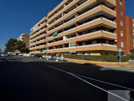 Local comercial en venta en Torrevieja, Punta Prima photo 0