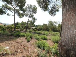 Terreno en venta en Alcúdia photo 0