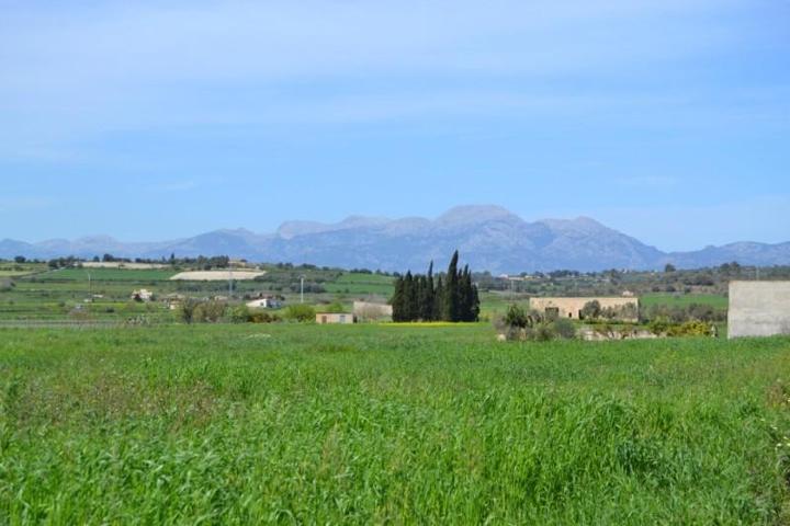 Terreno en venta en Santa Margalida, Muro - Santa Margalida photo 0