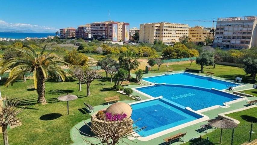 Bungalow en venta en Torrevieja photo 0