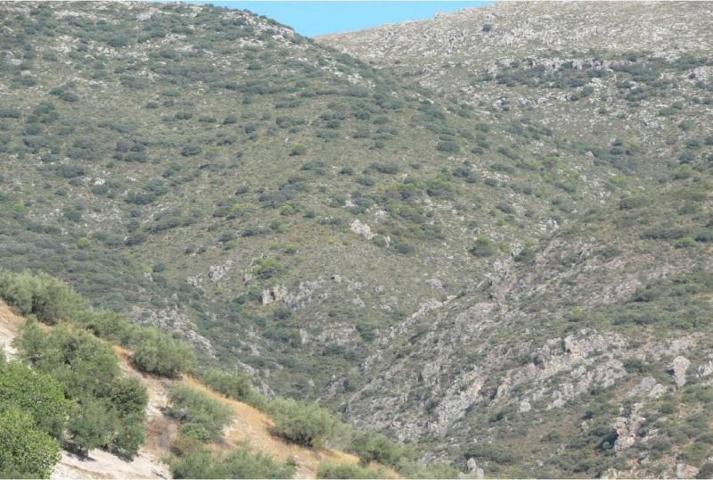 Chalet en venta en Priego de Córdoba, Priego De Cordoba photo 0