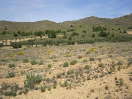 Terreno en venta en Yecla photo 0