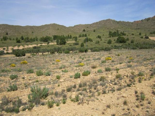 Terreno en venta en Yecla photo 0