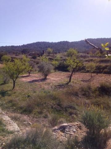 Terreno en venta en Monovar-Monover, Collao victoriano photo 0