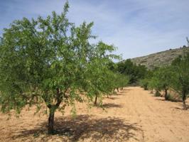 Terreno en venta en Yecla photo 0