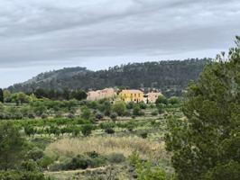 Casa con terreno en venta en Monovar-Monover, Comunidad valenciana photo 0