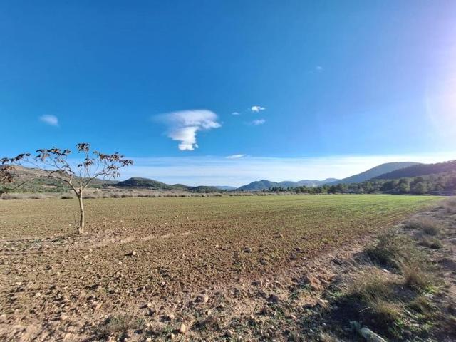 Terreno en venta en Monovar-Monover photo 0