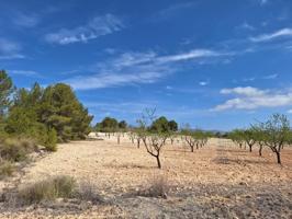 Terreno en venta en La Zarza photo 0